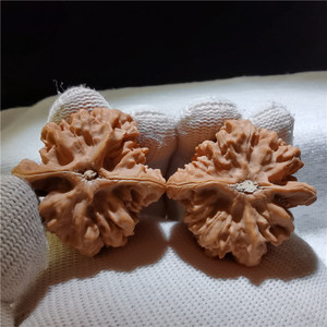 40京八对狮子头9092精品野生文玩核桃实物实拍水龙纹南将石蛤蟆头