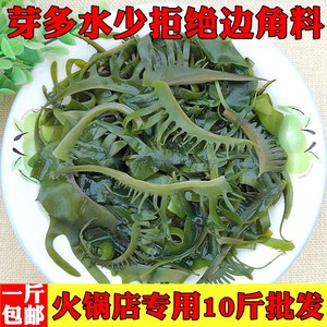 特级裙带菜火锅海芽菜海白菜盐渍非干货500g海藻海媚芽菜1斤包邮