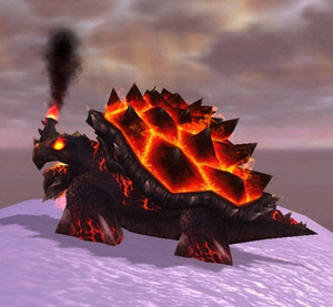 魔兽世界小黑代练带猎人灵魂兽宠物稀有宝宝大角手工秒抓自己上号