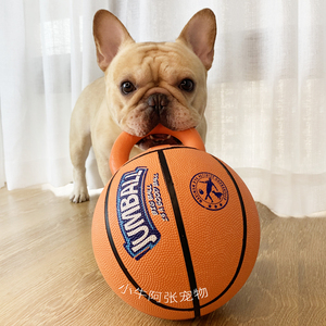 GiGwi贵为狗狗玩具健宝球篮球足球橡胶把手互动巡回训练宠物玩具