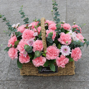 00乱花篱淘宝成都鲜花速递同城配送母亲节花篮康乃馨花束送妈妈生日