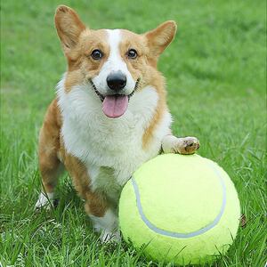狗狗玩具球狗解闷狗网球宠物足球金毛柯基边牧玩具狗狗球宠物用品