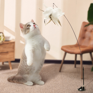 猫玩具逗猫棒自嗨解闷神器吸盘长杆布偶蓝猫斗猫吸地猫咪用品大全