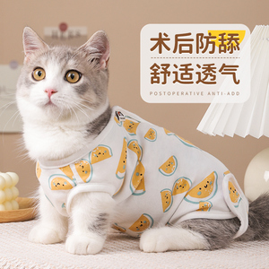 猫咪绝育服手术衣服猫猫断奶戒奶服防舔公猫术后服宠物绝育服母猫