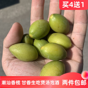 潮汕外公现摘新鲜香榄青橄榄青果 甘香适合生吃煲汤泡醋泡酒500g