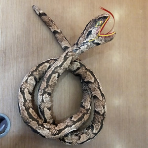 tb865711642淘宝潮汕游神英歌舞蛇 手工布蛇 道具英歌蛇 恕不退换