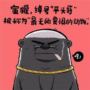 平头哥蜜獾公仔獾子玩偶个性毛绒公仔闺蜜搞笑滑稽礼物搞怪布娃娃