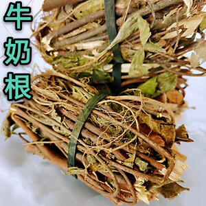 煲汤牛奶根福建高山野生草根福州闽清牛奶子根白花牛乳树根500g
