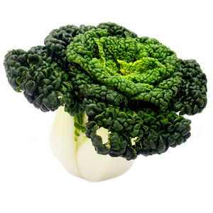 淮南新鲜黄心乌小白菜乌青菜黄心菜蔬菜菊花塌菜皱叶菜卷窝菜5斤