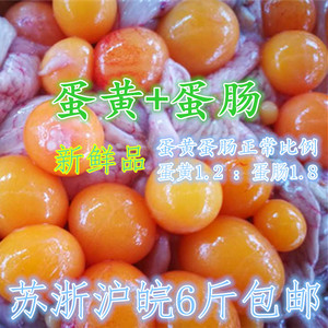 生新鲜老母鸡卵巢鸡蛋肠蛋带500g鸡内脏蛋包蛋黄江浙沪皖6斤包邮