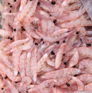 南极虾砖海钓饵船钓矶钓蜜计虾海鱼饵料打窝砖钓鱼诱饵鱼饲料窝料