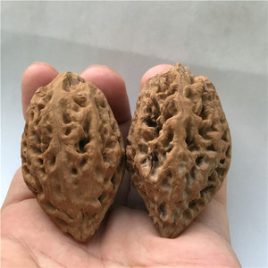 文玩核桃秋子蚂蚁纹