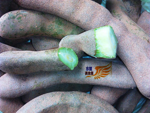 qua me 新鲜生酸角500克 罗望子果 酸豆 调味料天然果品