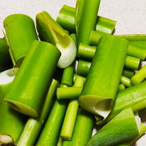 doc mung 新鲜芋蒙500克 河粉汤料 芋苗芋头杆腌泡菜 酸汤菜