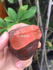 凉山南红玛瑙原石九口瓦西料柿子红老矿口墩子料200克