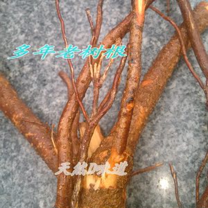 00小妖驾到耶淘宝农家自晒无硫 干龙眼根 桂圆根龙眼树根干品 中