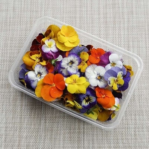 新鲜三色堇鲜花 可食用装饰花  西餐摆盘花草装饰点缀 65朵一盒