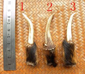麂子角挂件