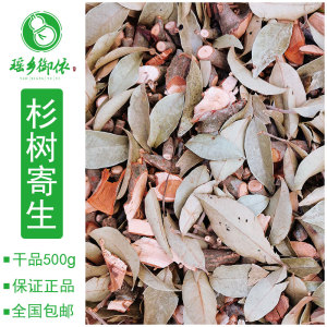 正宗广西瑶山杉树寄生杉木寄生鞘花杉寄生茶中草药干品500g包邮