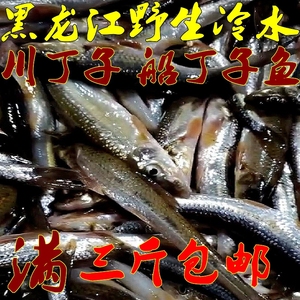 包邮黑龙江 开江野生冷水川丁子鱼 船钉子鱼川钉子满三斤包邮