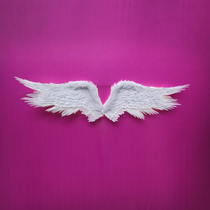 小红书简约抖音网红打卡奶茶店墙饰拍照背景挂饰天使羽毛白色翅膀