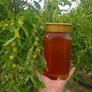 枣花蜂蜜纯天然