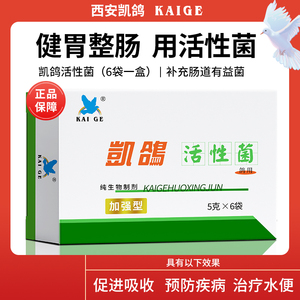 凯鸽鸽药大全鹦鹉鸽子活性菌益生菌助消化保健调理肠道鸟专用药物