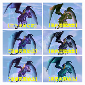 魔兽世界坐骑灵翼幼龙声望/沙塔尔天空卫队虚空鳐/纳格兰塔布羊