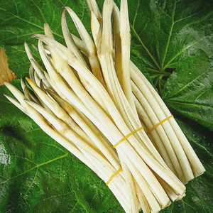 藕尖新鲜现挖野生