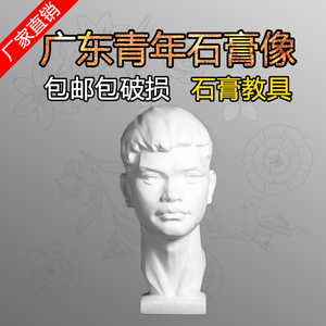 厂家直销广东青年石膏像圆面切面头像中国男青年石膏美术用品教具