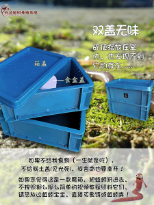 蚯蚓吃什么_三明治吃出活蚯蚓_伯劳吃蚯蚓吗