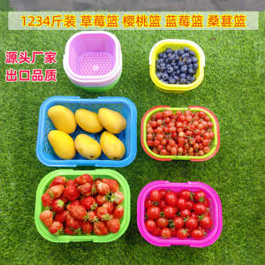 樱桃篮蓝莓篮塑料篮1斤2斤3斤装桑葚篮手提方篮小篮子彩色水果篮