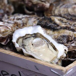 法国玫瑰粉钻生蚝48只装n1/n2/n3法国进口空运鲜活即食刺身级料理