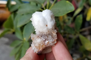 天然氟铝石膏花状晶簇原石矿物晶体石头标本天然收藏观赏装饰摆件