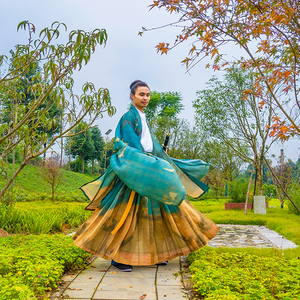 眉州汉服 宋制瑞鹤图定制大氅鹤氅道装仙
