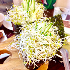 苜蓿芽种子芽苗菜种籽四季播种籽种盆栽菜籽种孑