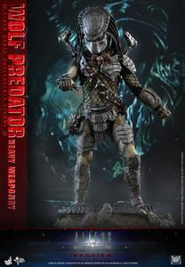 潮玩实体：Hottoys HT MMS443 AVP 铁血战士 独狼 重装版 开订