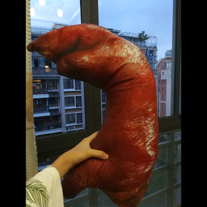 慢回弹搞笑大猪蹄子抱枕玩偶玩具手工五花肉模型礼物儿童烧烤实物