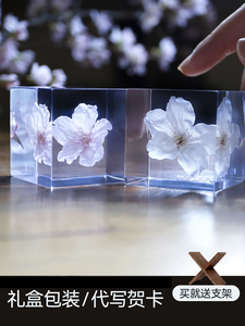 日本宙sola cube樱花标本植物桌面摆件创意生日礼物送男女生朋友