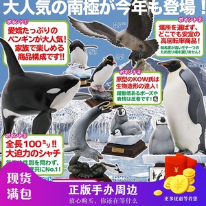 【现货】日本正版奇谭俱乐部NTC图鉴南极生命纪行动物企鹅扭蛋