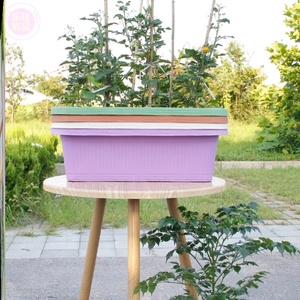 泡沫箱花盆特大