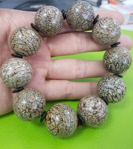 闲云野鹤wyh淘宝侏罗纪恐龙骨化石原石天然真品摆件珠子料印章料310