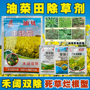 油菜田地苗后除草剂冬季作物高效氟吡甲禾灵二氯吡啶酸草除灵组合