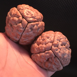 印尼脑纹大金刚三瓣脑纹大菩提行处能平不烧