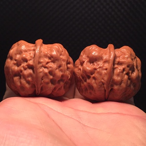 云南铁核桃元宝