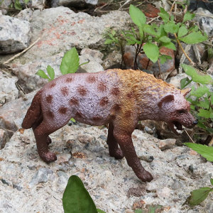 儿童仿真动物园模型玩具野生动物世界猎狗鬣狗土狼土狗模型