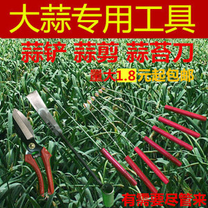 剥蒜苔工具