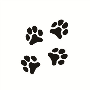 狗脚印贴纸