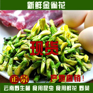 现货新鲜金雀花500g顺丰包邮云南特产食用鲜花野菜特色菜酒店食材