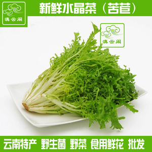 云南特产新鲜山茅野菜水晶菜生鲜蔬菜狗牙苦苣菜酒店750g顺丰包邮
